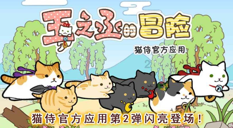 金刚鹦鹉逃生